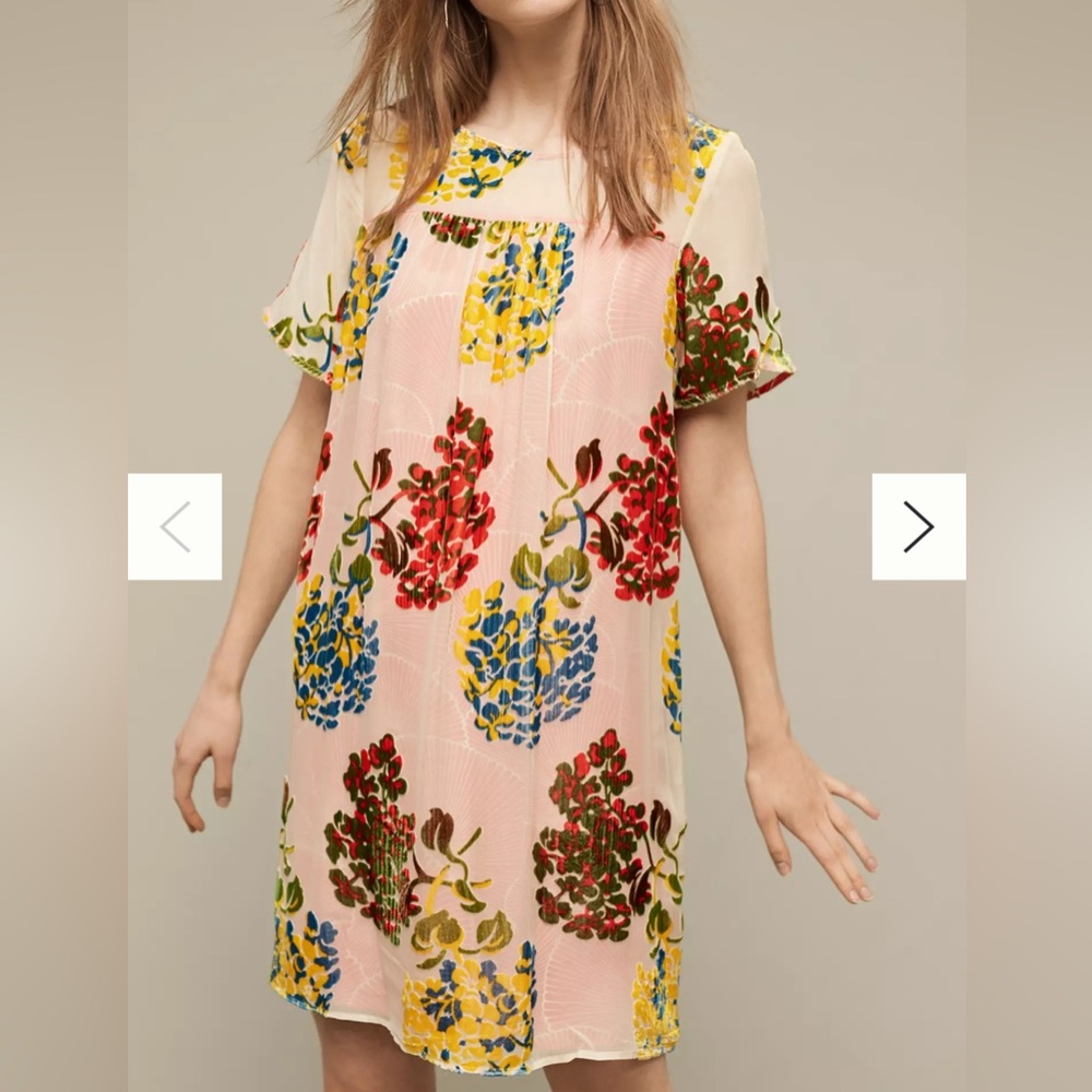 Anthropologie Flower Market Swing Dress